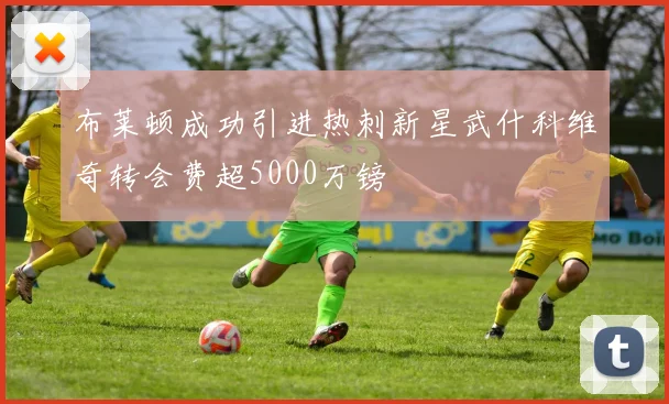 布莱顿成功引进热刺新星武什科维奇转会费超5000万镑