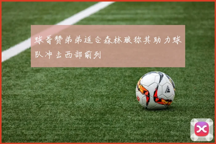球哥赞弟弟适合森林狼称其助力球队冲击西部前列